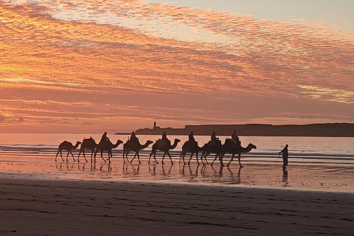 a group of people riding horses on the beach at sunset