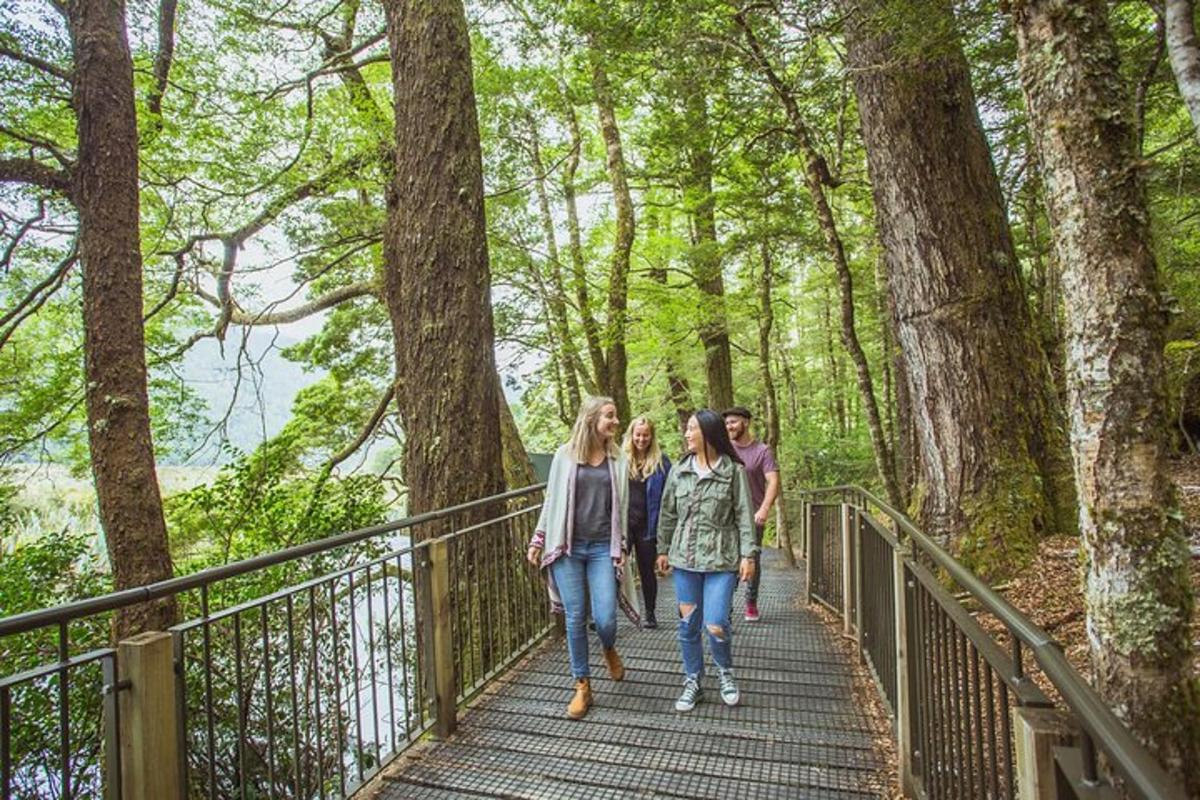 a group of people walking on a bridge in the woods