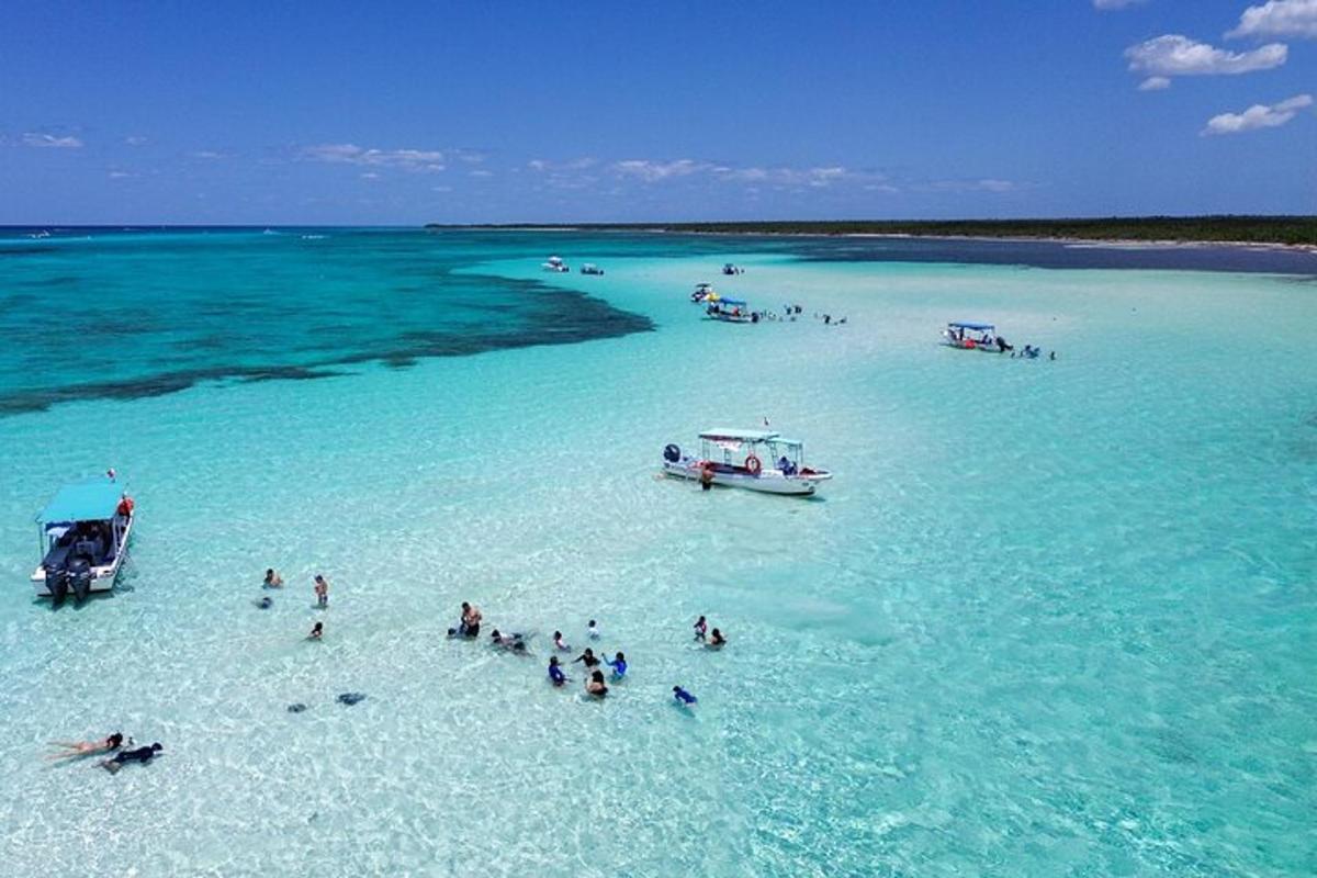 a group of people in the water at a beach