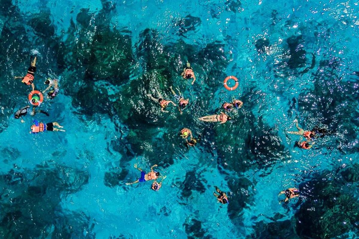 a group of people swimming in the blue water