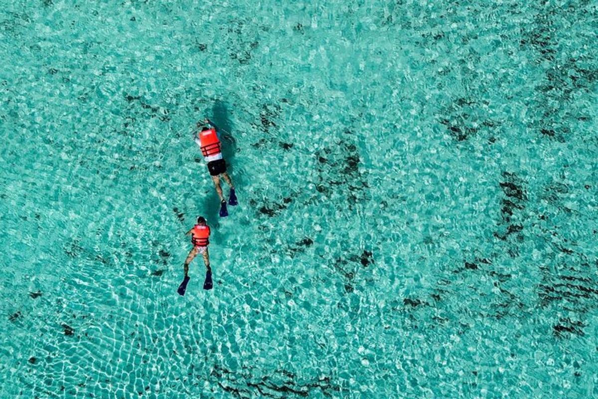 two people standing in the water in the ocean