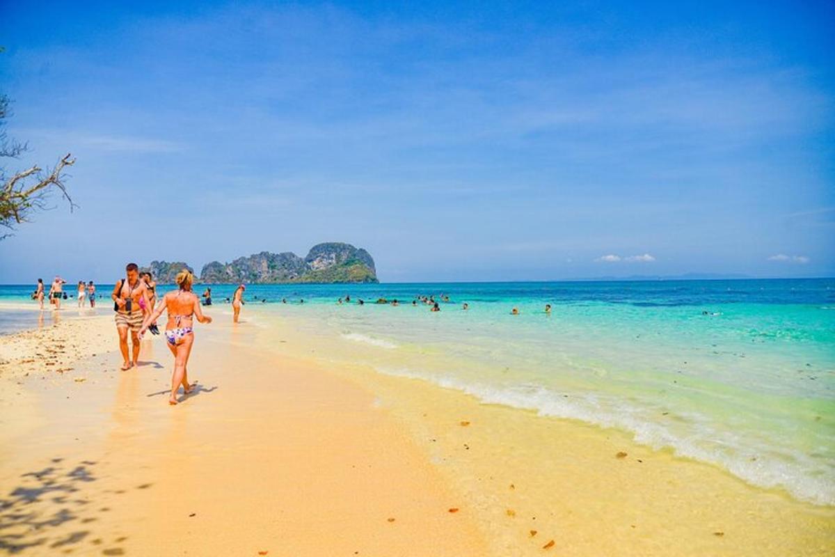 um grupo de pessoas caminhando na praia