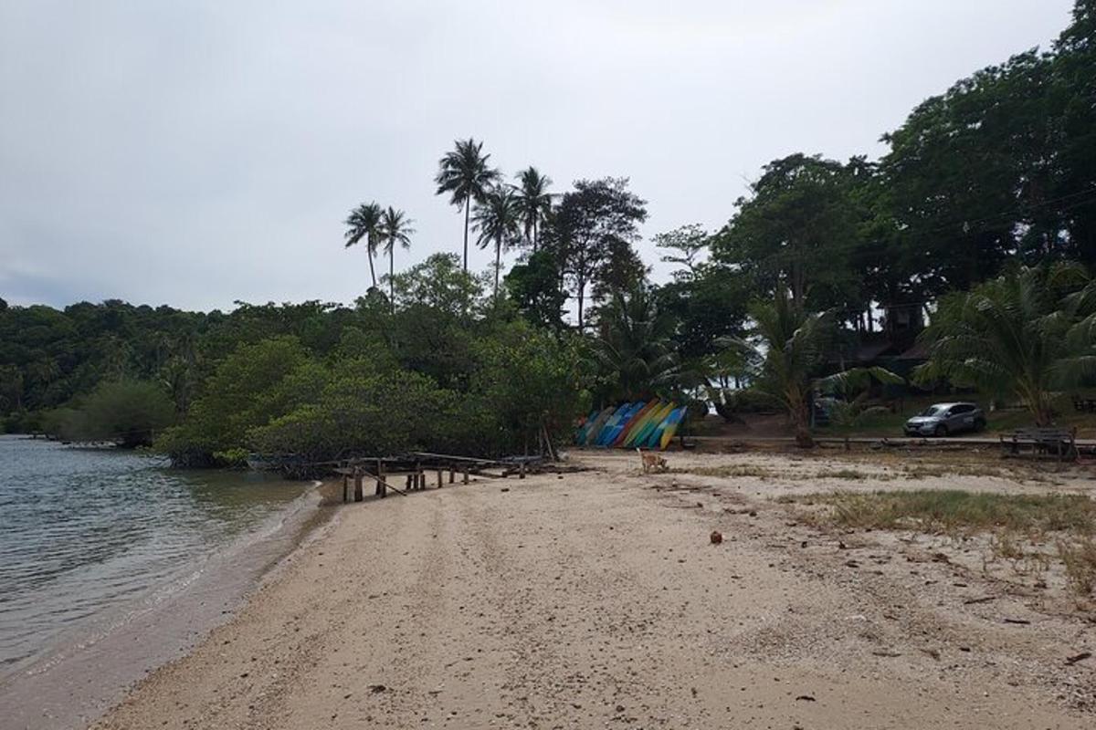egy pálmafás strand és egy rajta parkoló autó