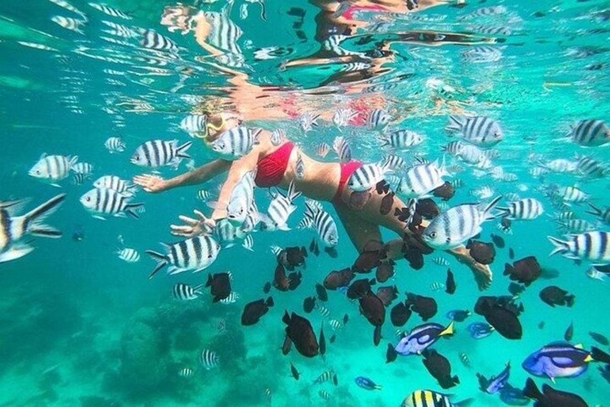 žena plave ve vodě s rybami