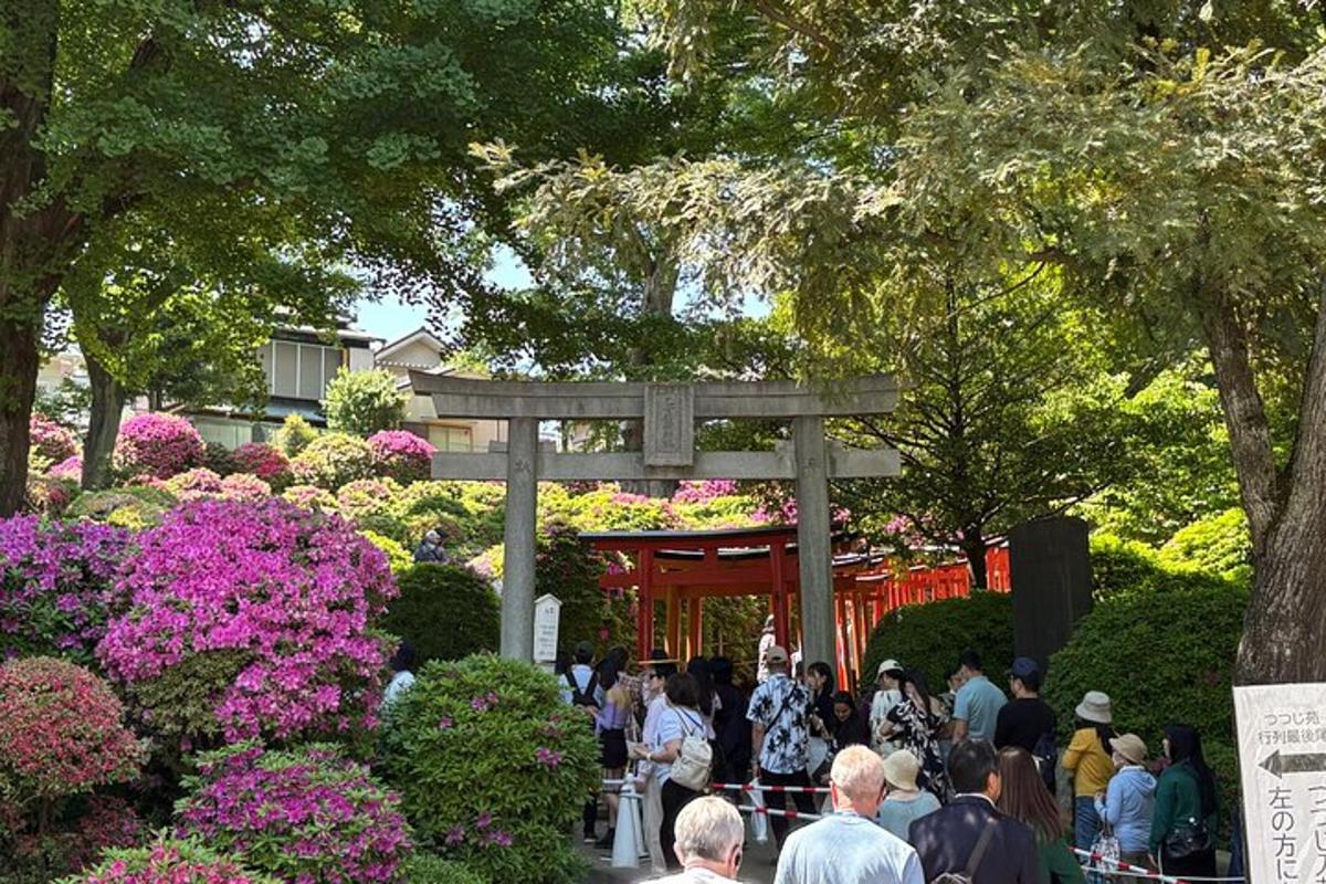 a crowd of people walking around a garden with flowers
