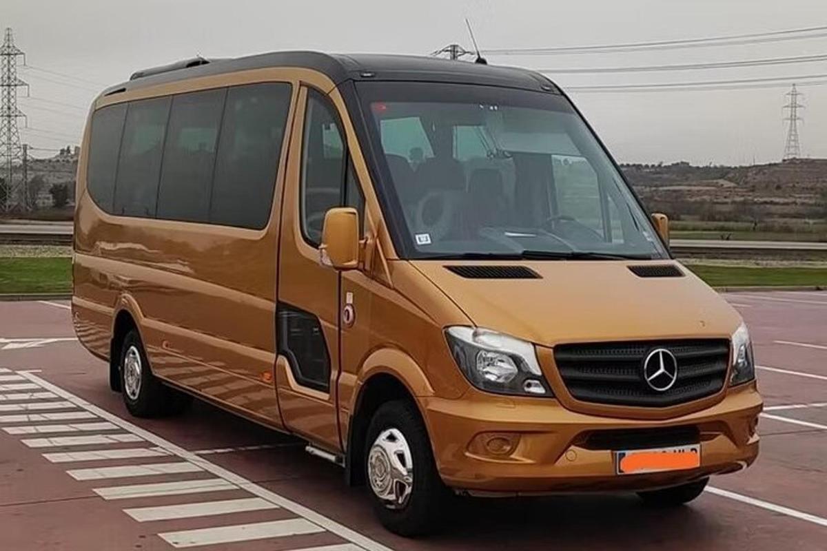 a brown van parked in a parking lot