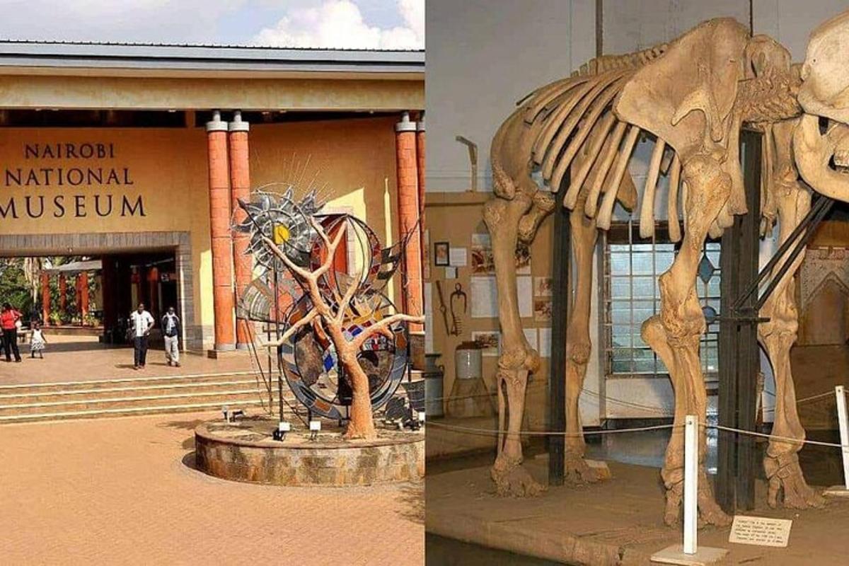 duas fotos de um esqueleto em frente a um museu