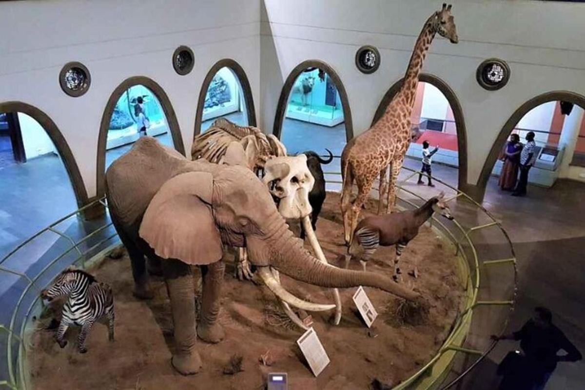 pameran haiwan yang dipamerkan di muzium