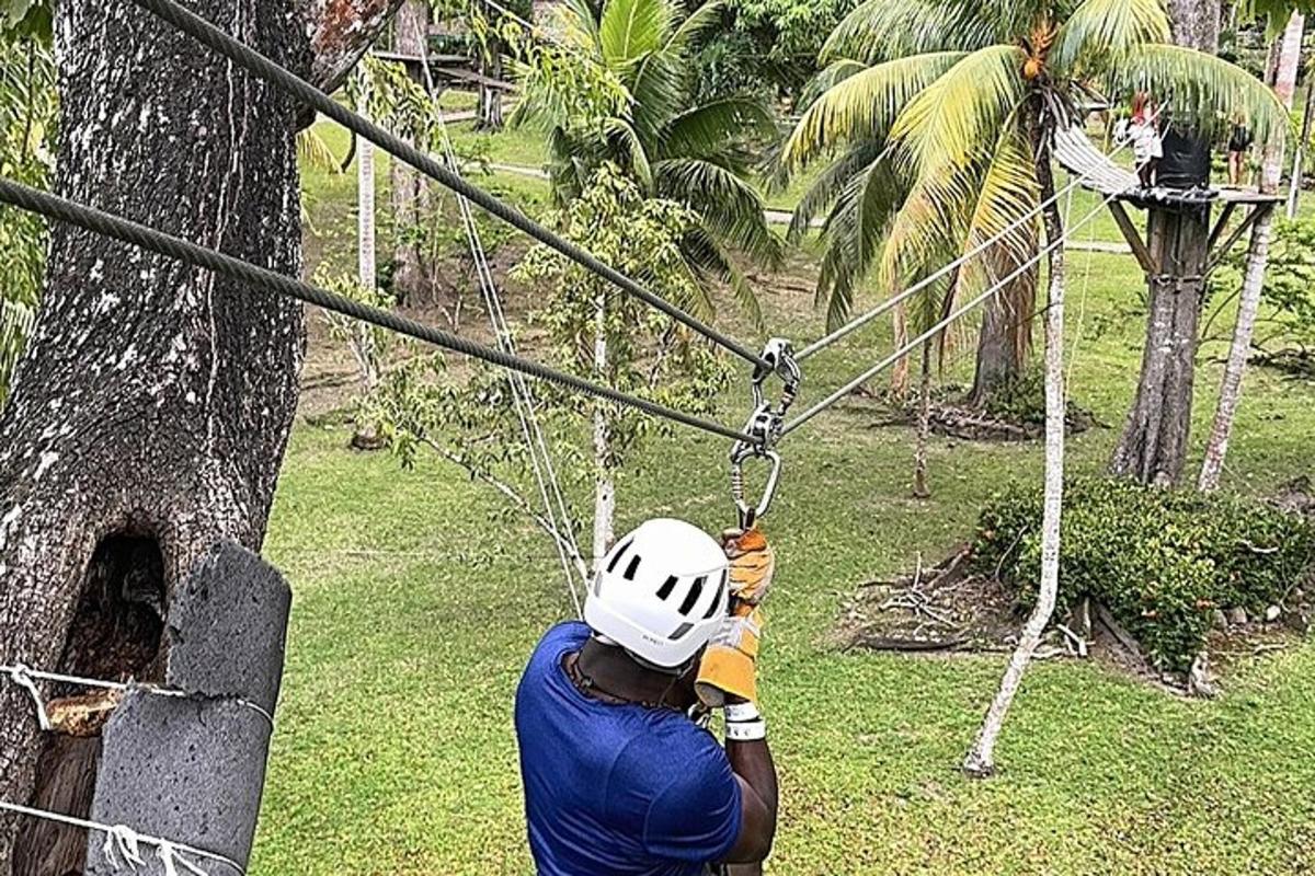 một người đàn ông trên đường trượt zipline gần một cái cây
