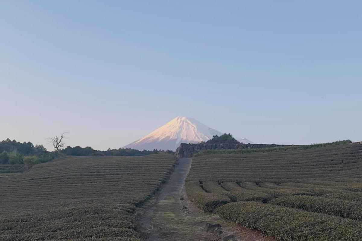 gunung di tengah padang dengan jalan tanah