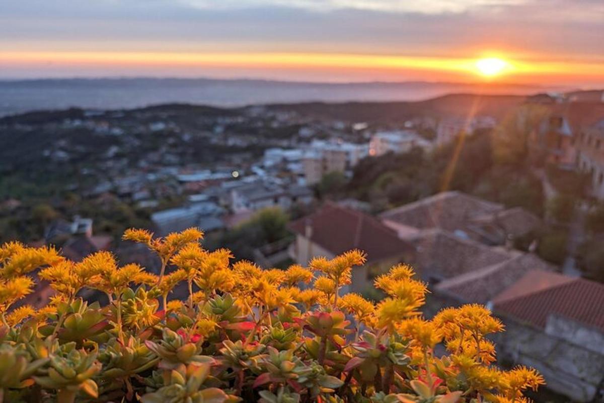 ein Blick auf den Sonnenuntergang von einem Hügel mit Blumen