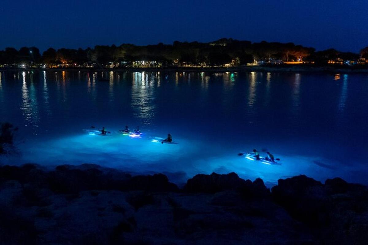 un gruppo di persone in barche sull'acqua di notte