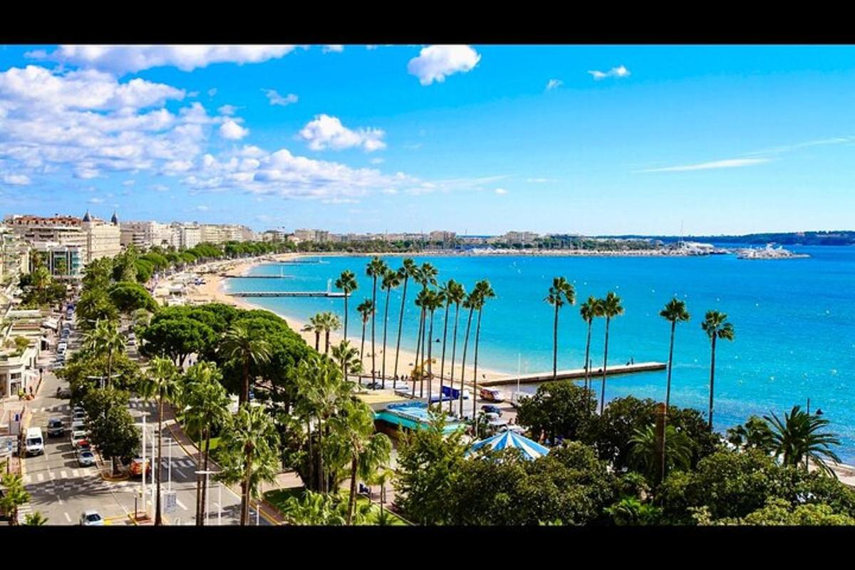 a view of a beach with palm trees and the ocean