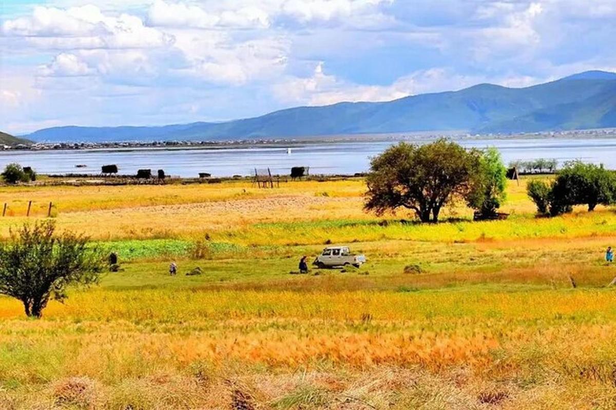 a truck parked in a field next to a body of water