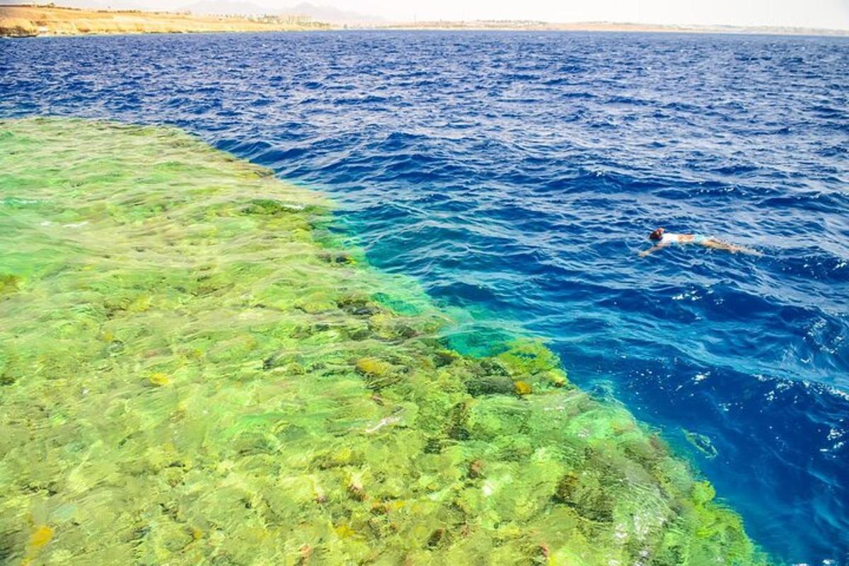 особа која плива у води