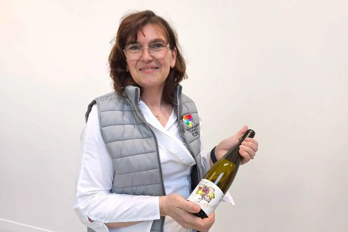 The Organic Treasures of Alsace An Invitation to Tasting – photo 2