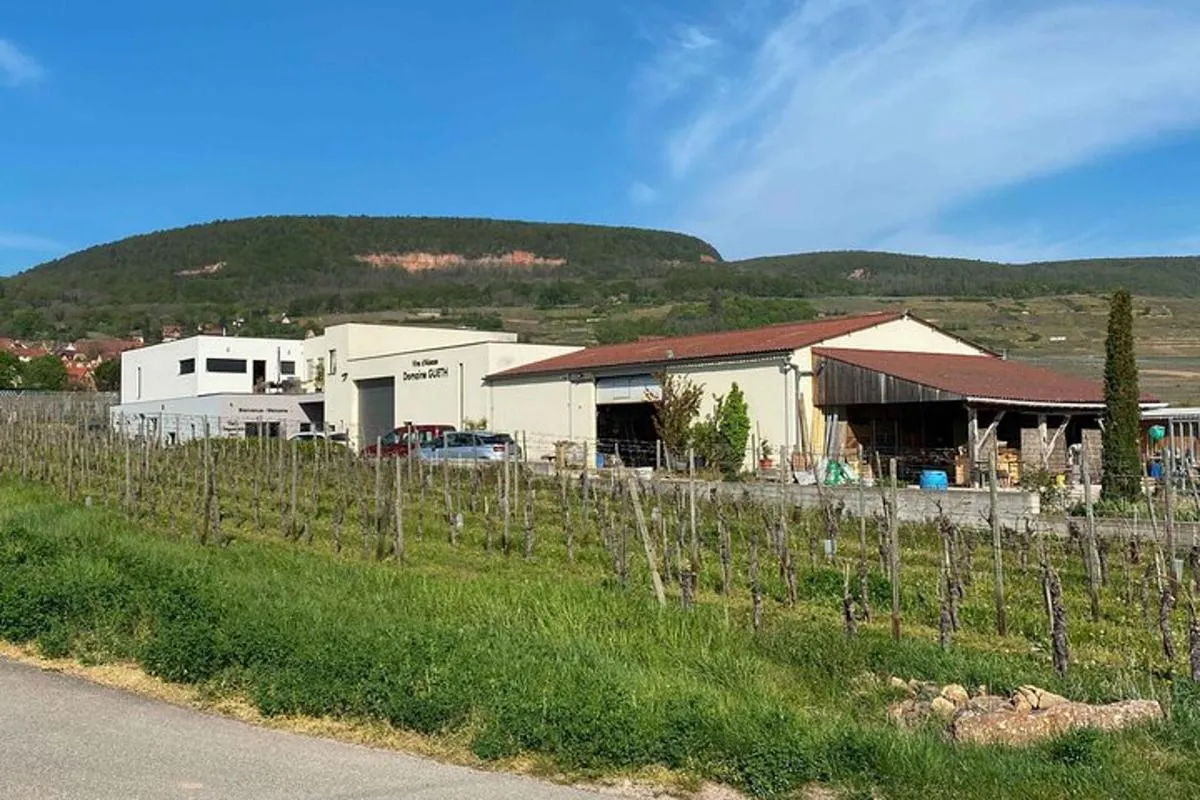 Les Trésors Biologiques d'Alsace Une Invitation à la Dégustation – photo 3