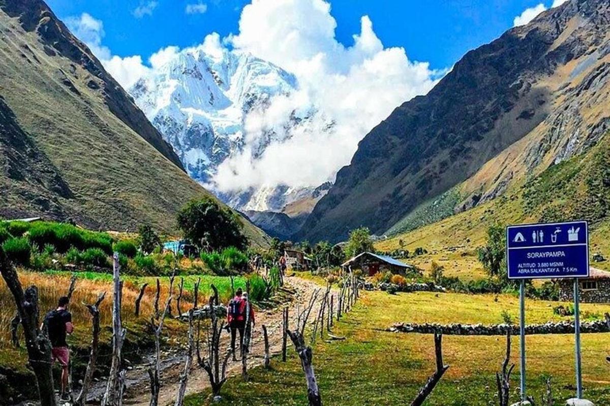 un grup de persones caminant per un camp amb una muntanya