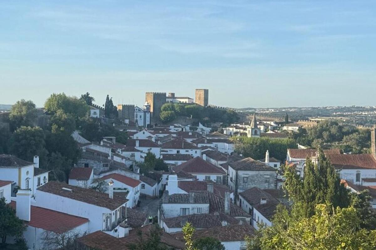 uma vista de uma cidade com casas e edifícios