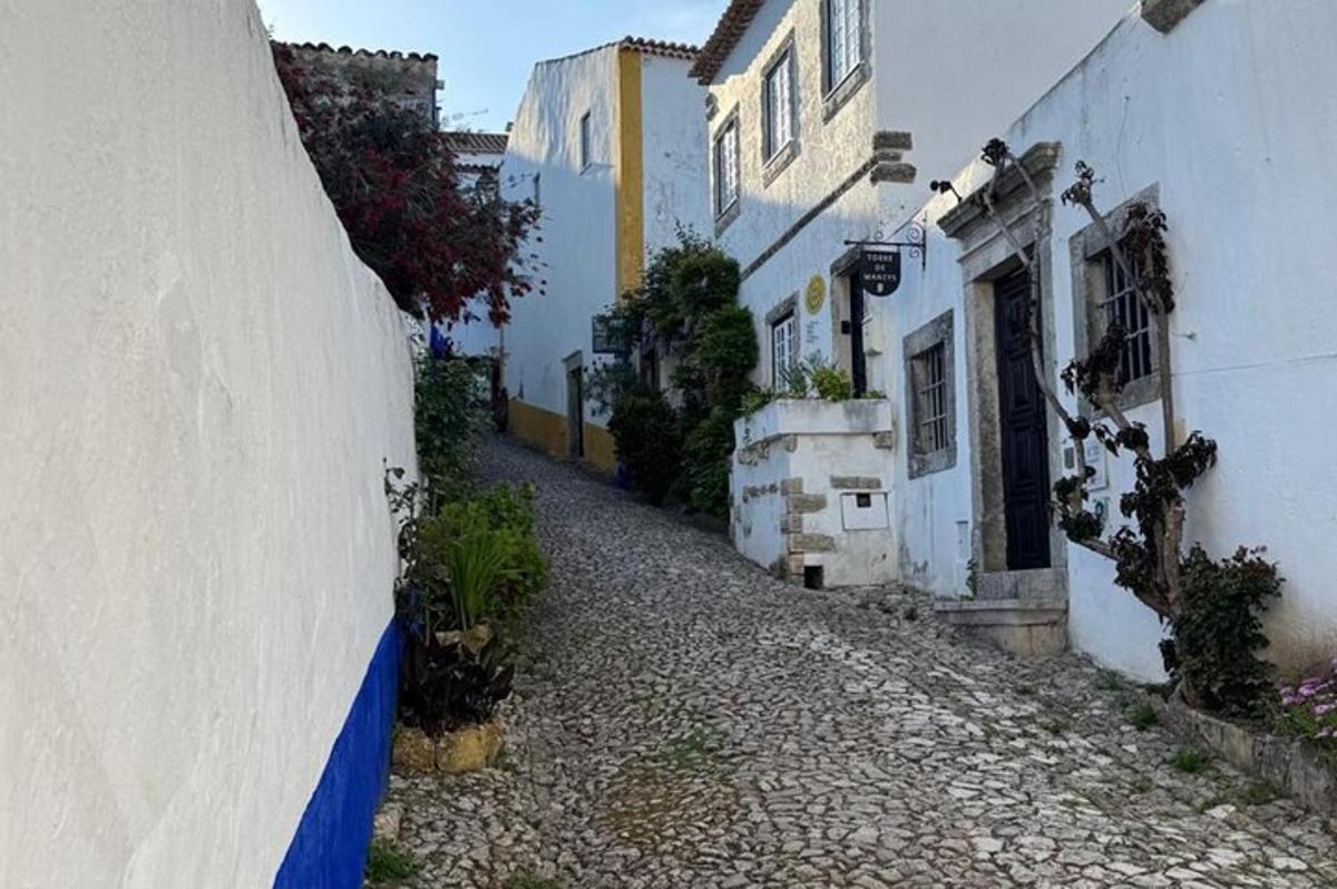 um beco com prédios e plantas brancas e azuis