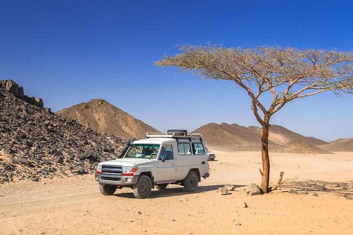 un camion bianco parcheggiato nel deserto con un albero