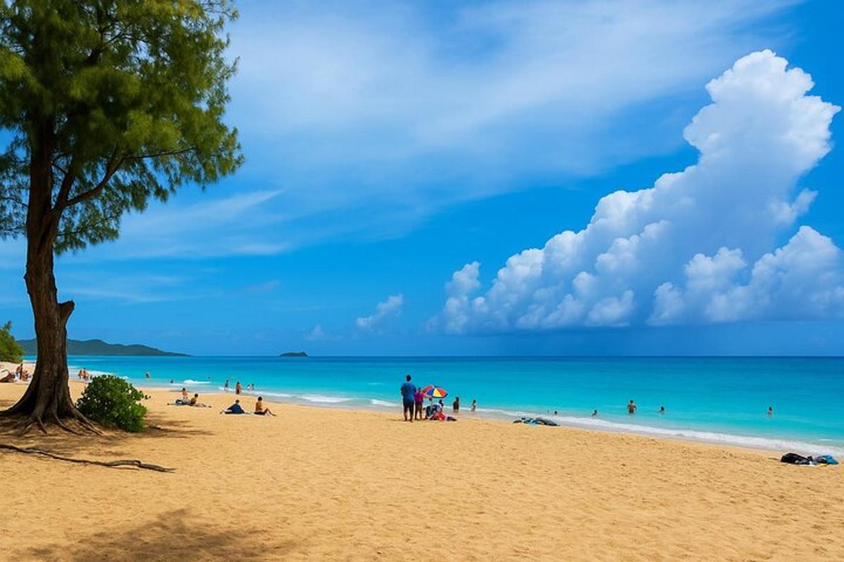 uma praia com uma árvore e pessoas na água