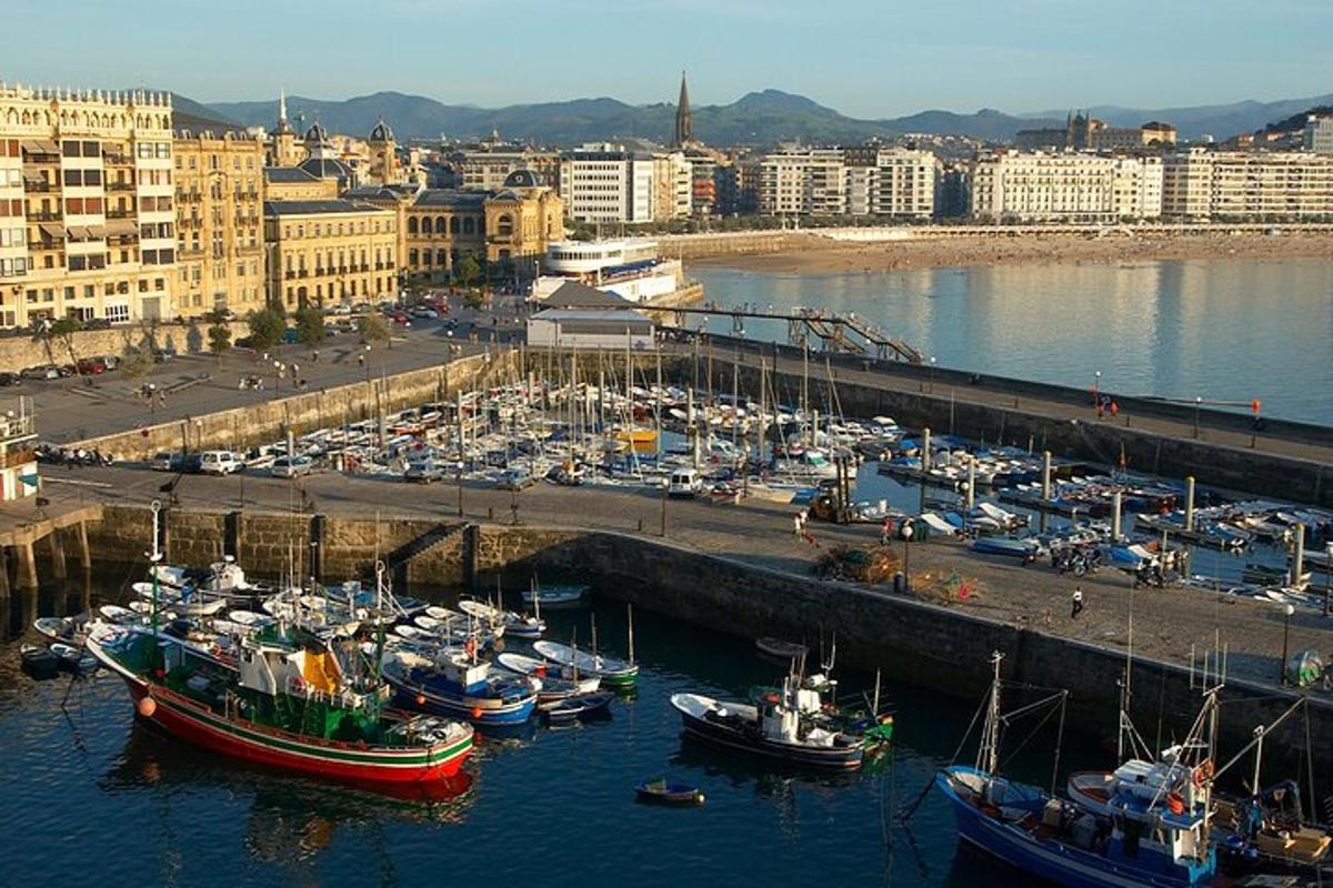 a group of boats are docked in a harbor