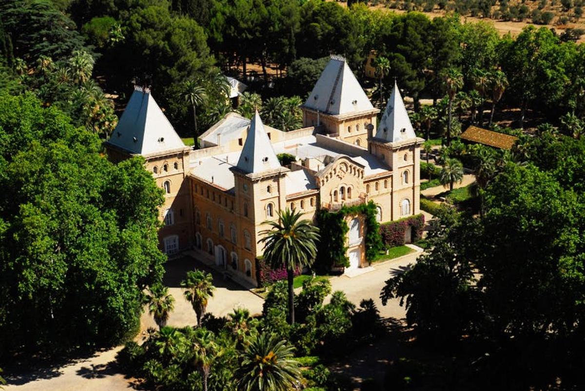 an aerial view of a large castle with trees