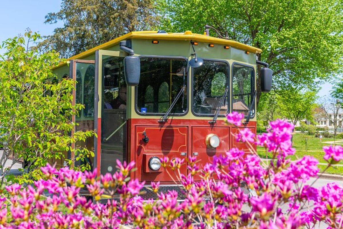 a red and yellow bus parked next to purple flowers