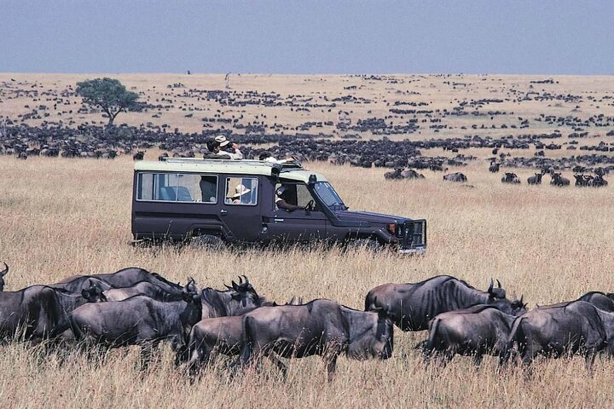 un furgone parcheggiato in un campo con una mandria di animali