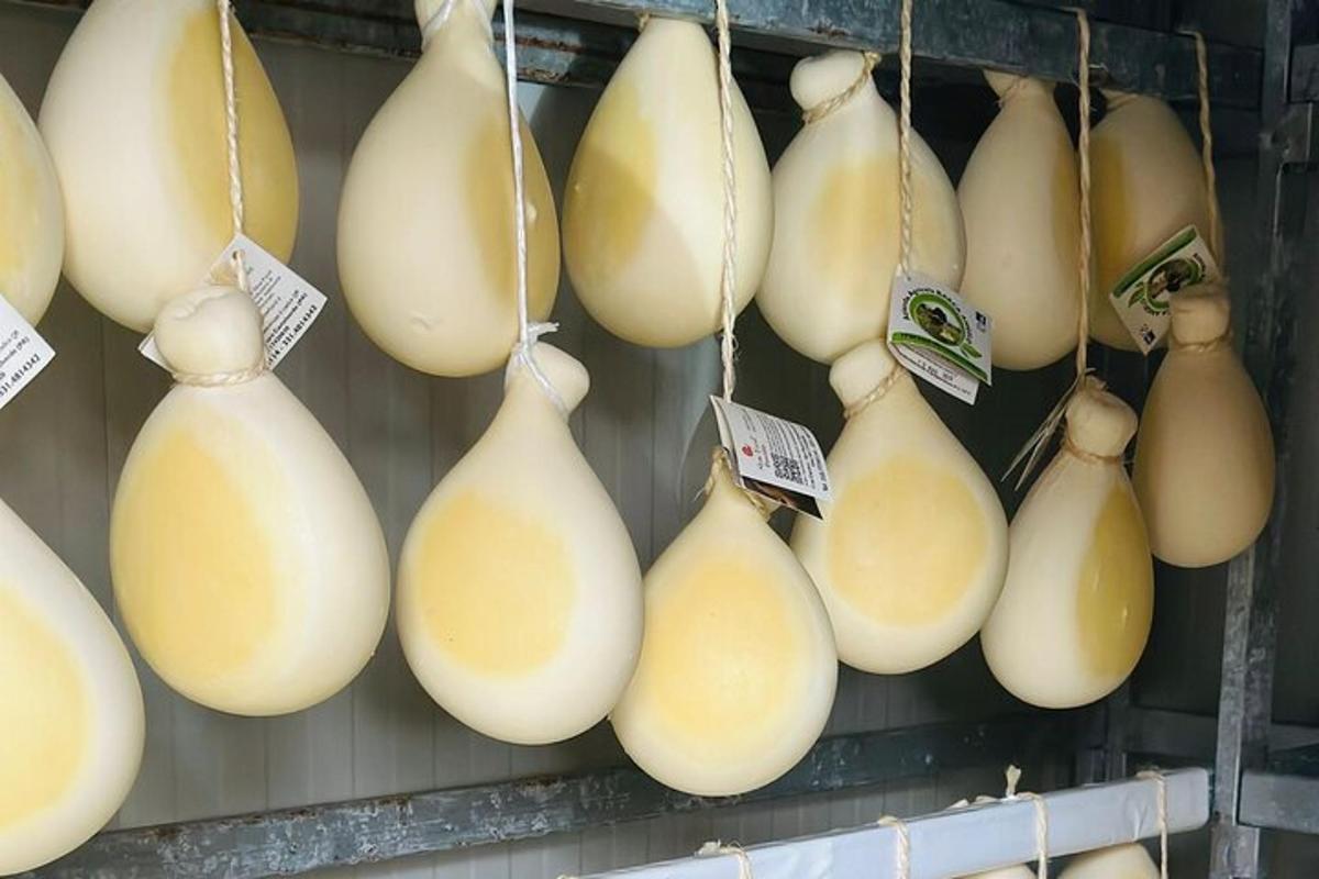 pęczek białej cebuli wiszący na ścianie