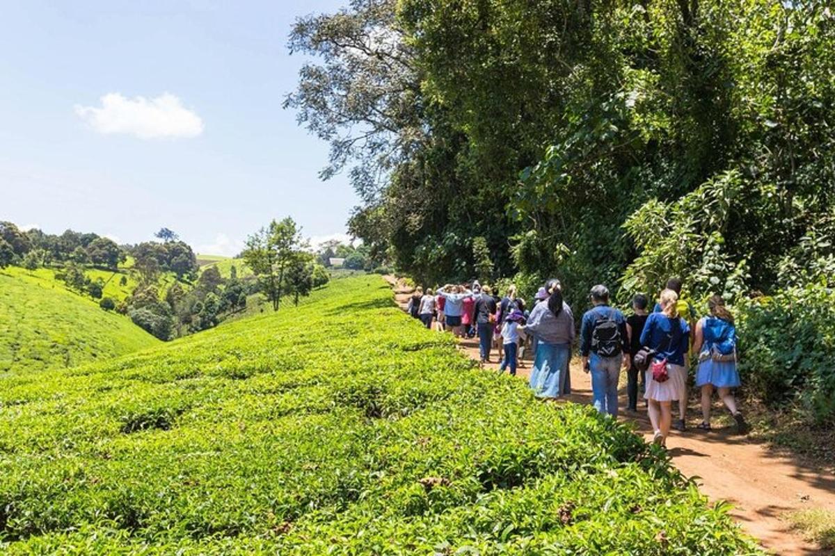 a group of people walking down a dirt road