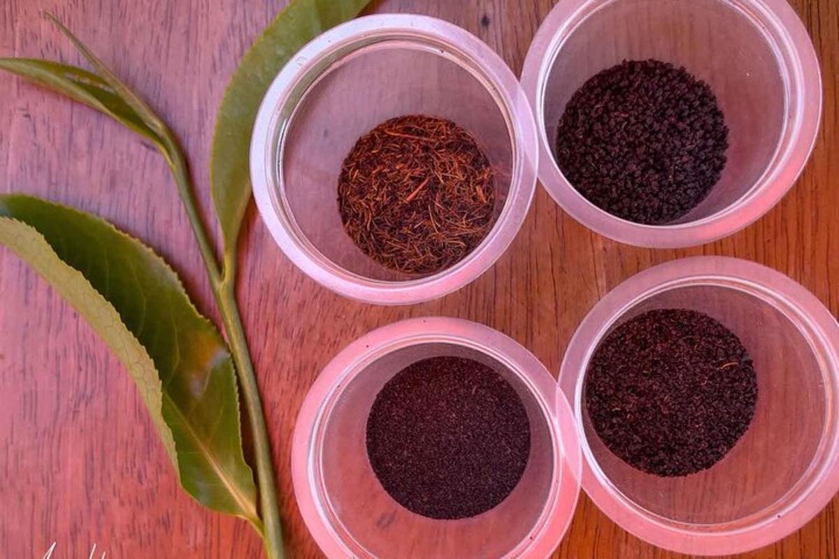 three bowls of seeds on a table with a plant