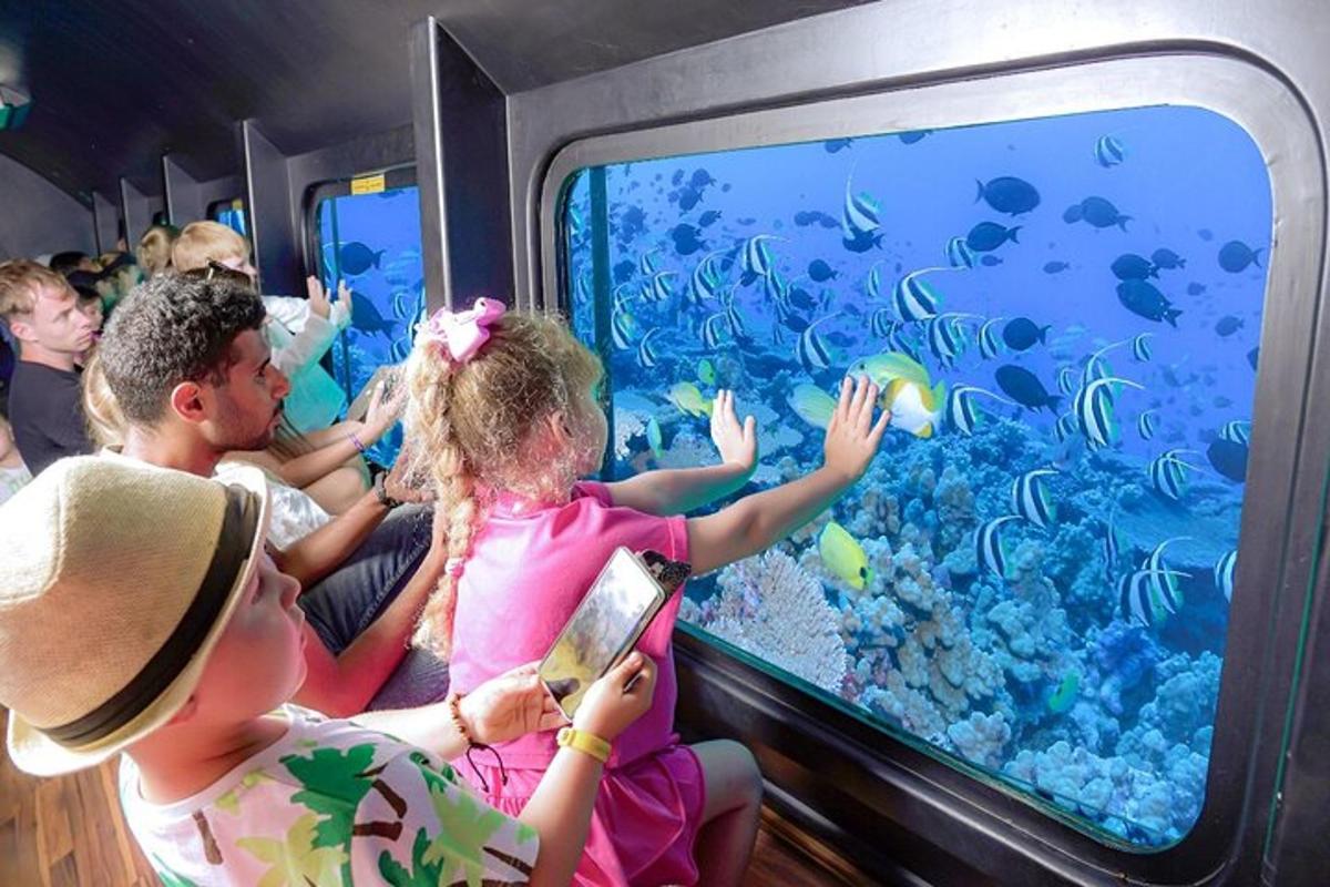 un grup de persones assegudes en un tren mirant un aquari