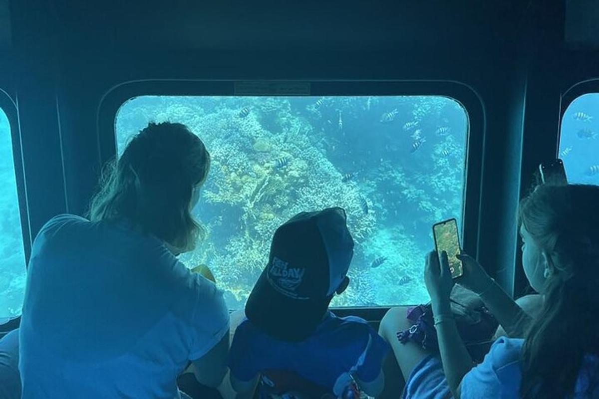skupina lidí pozorujících ryby v oceánu