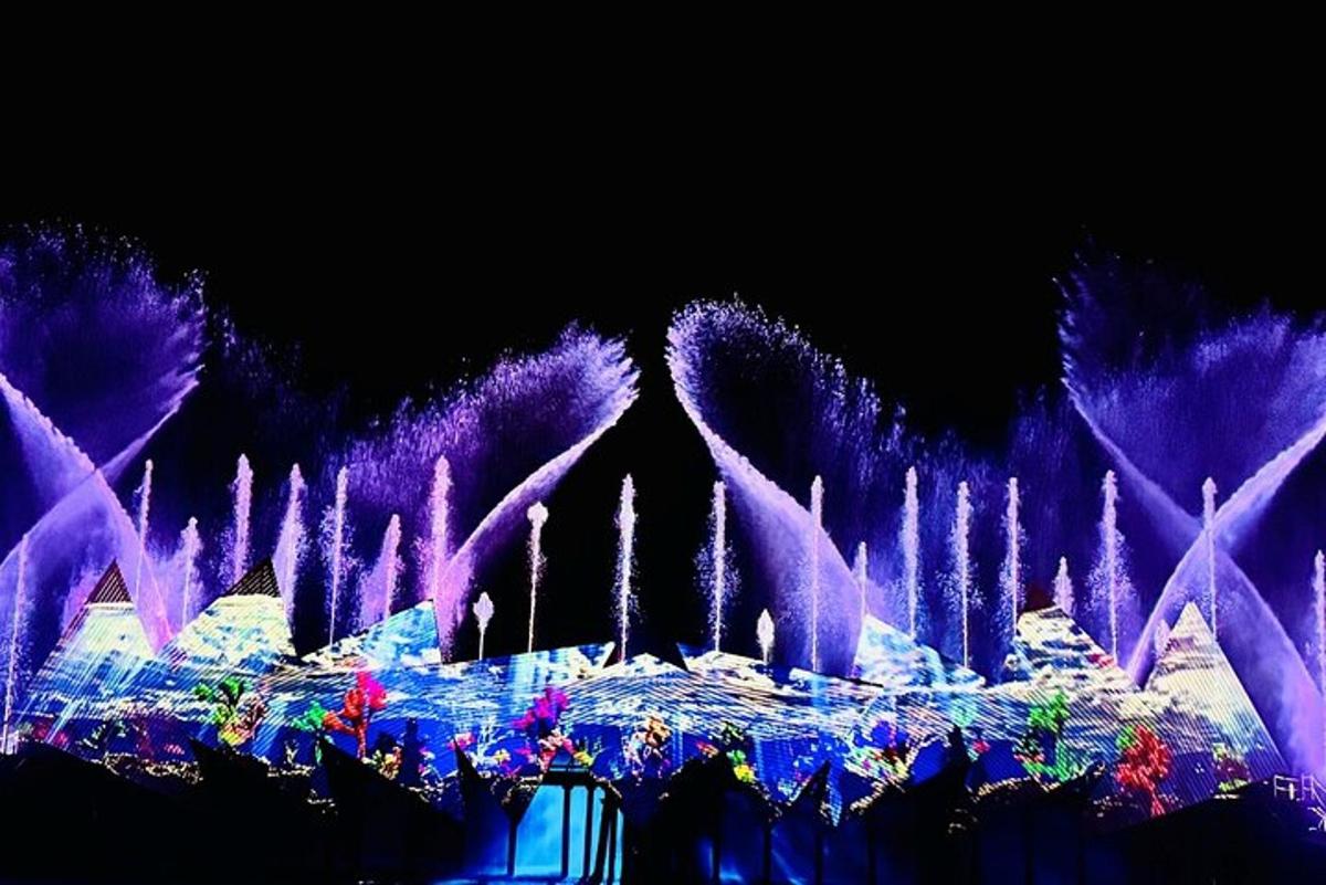 a display of purple lights in a field
