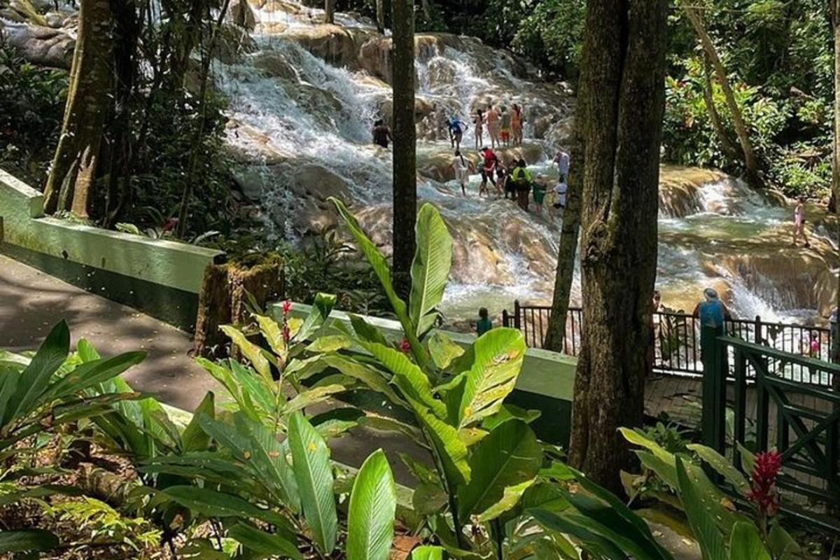 persone in piedi davanti a una cascata in un parco