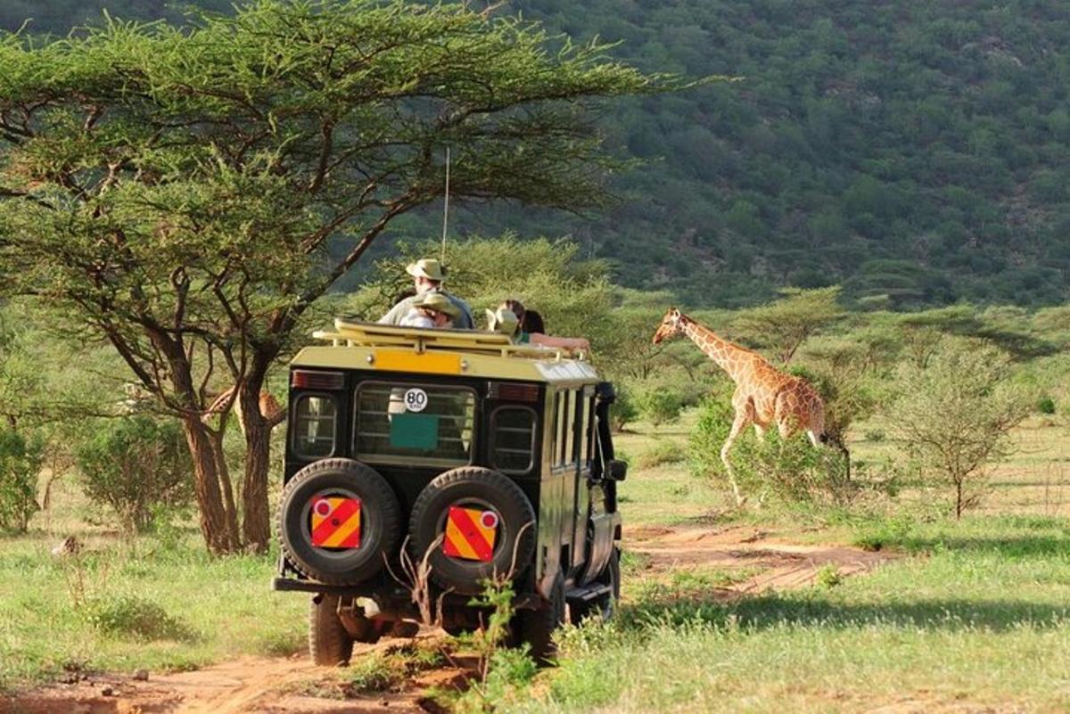 un vehicul de safari cu o girafă pe un drum de pământ