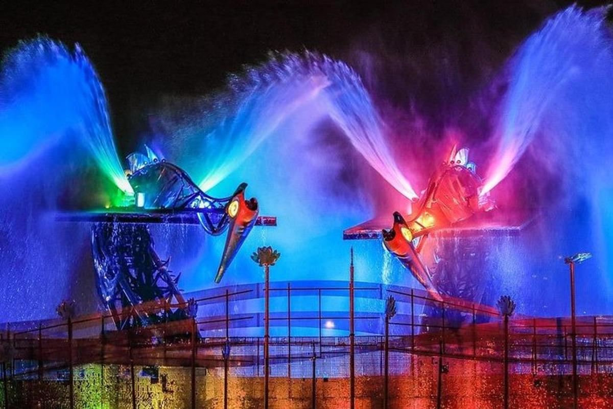 a water park with a water show with colorful lights