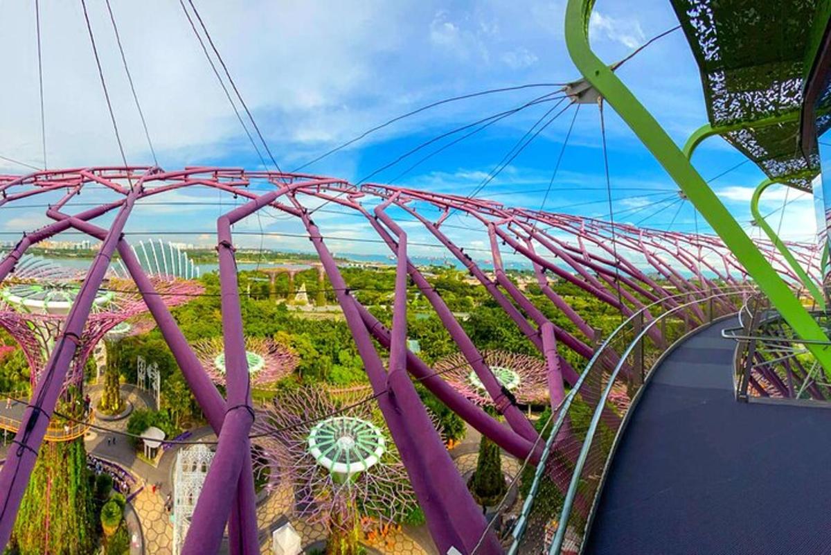 an empty roller coaster at a theme park
