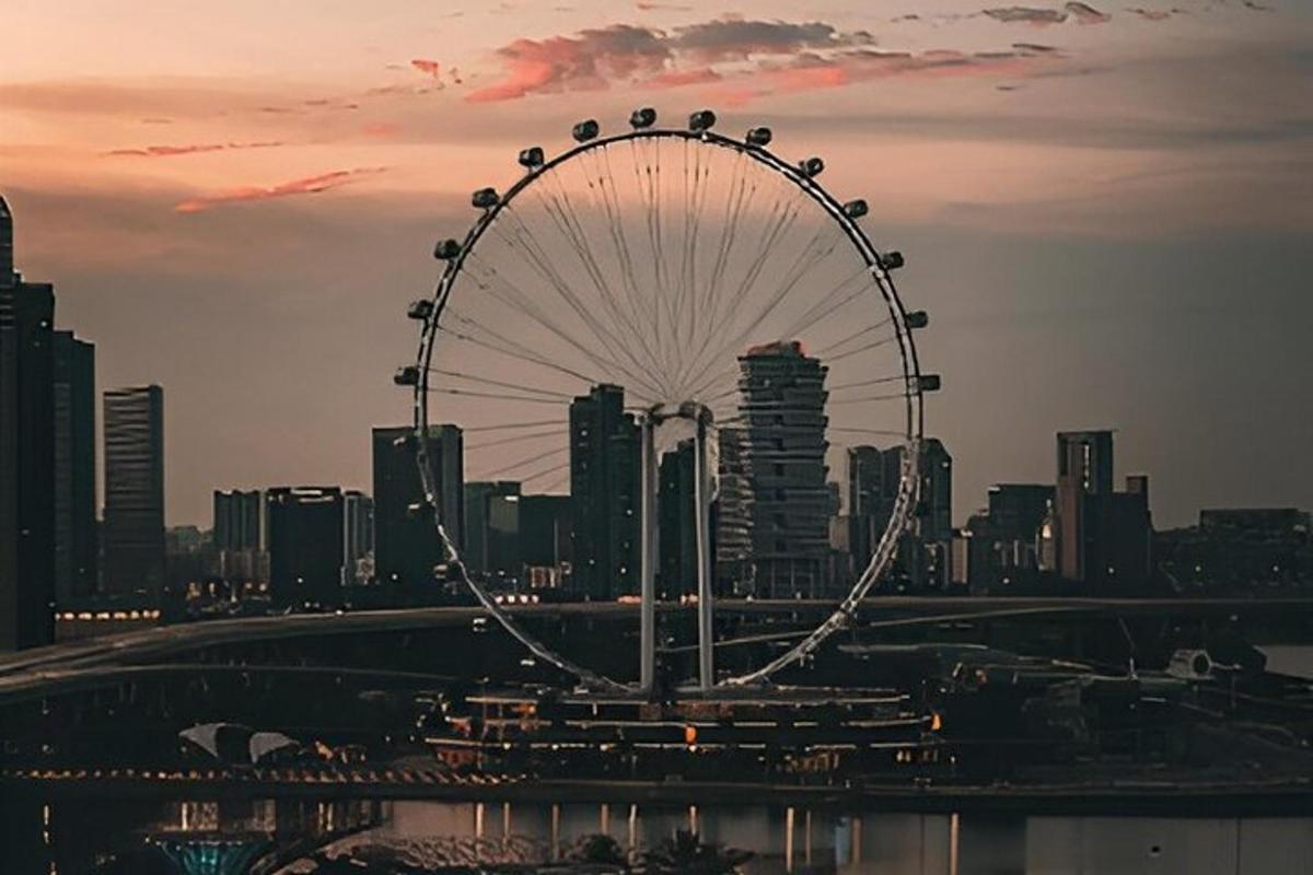 a large ferris wheel in front of a city