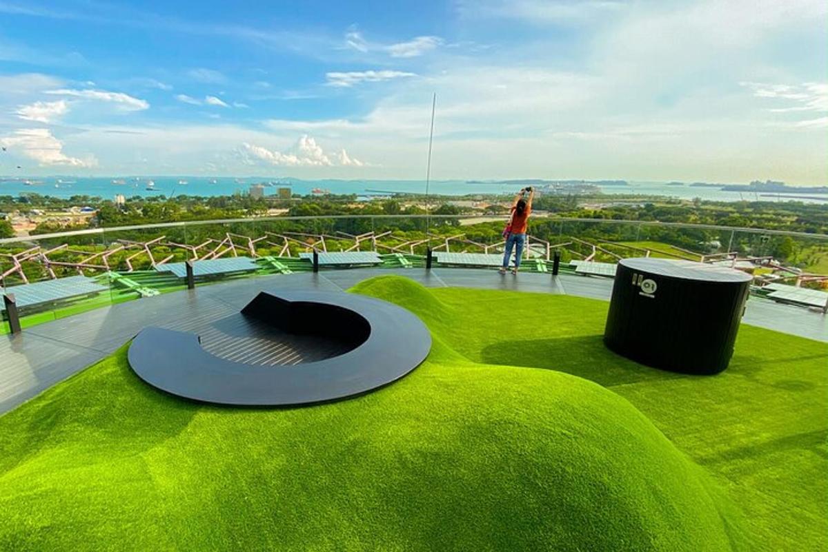 a person standing on top of a building with green grass