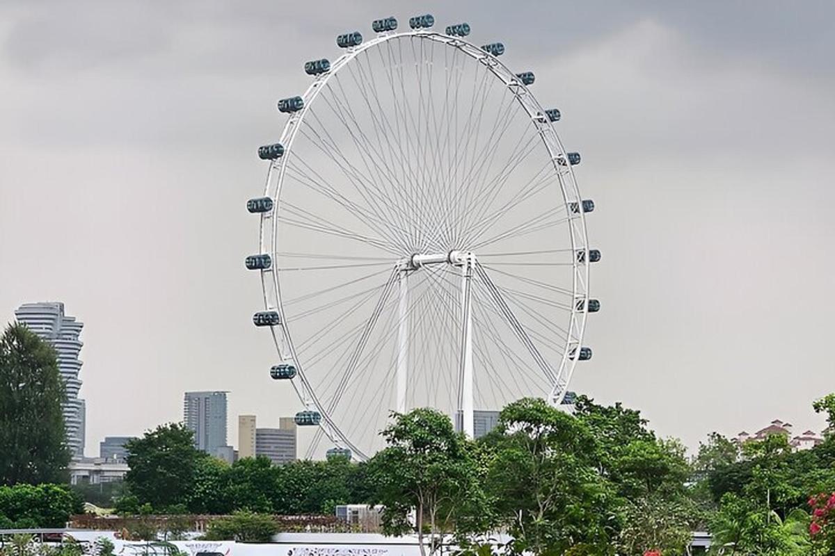 a large ferris wheel in front of a city