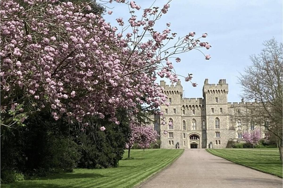 un castello con un albero in fiore di fronte