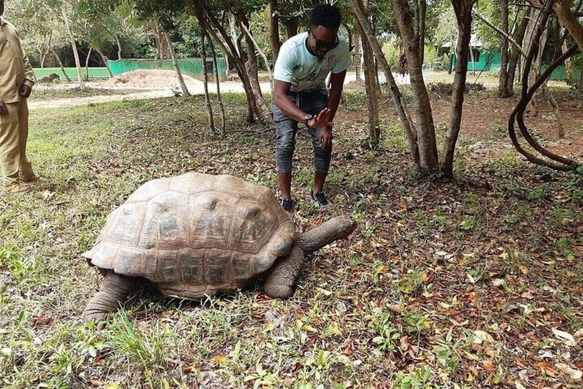 un home dret al costat d'una tortuga en un camp