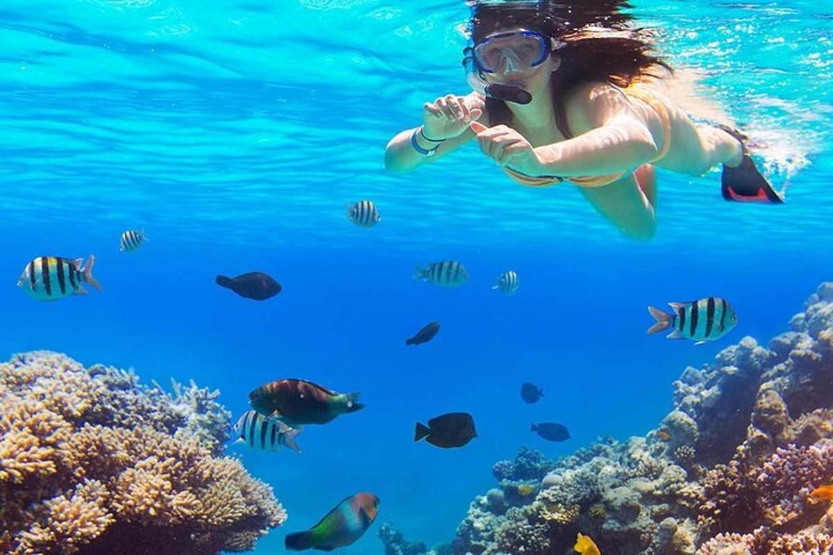 una donna che nuota nell'acqua con i pesci