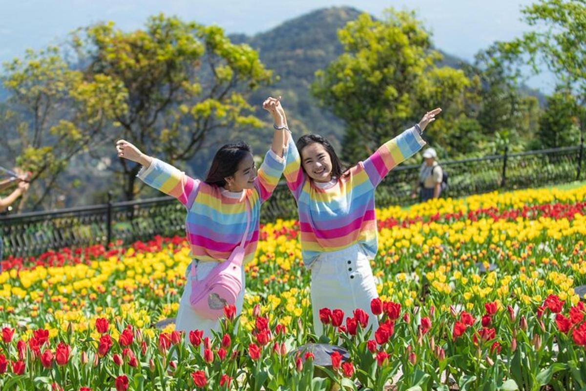 two women are standing in a field of flowers