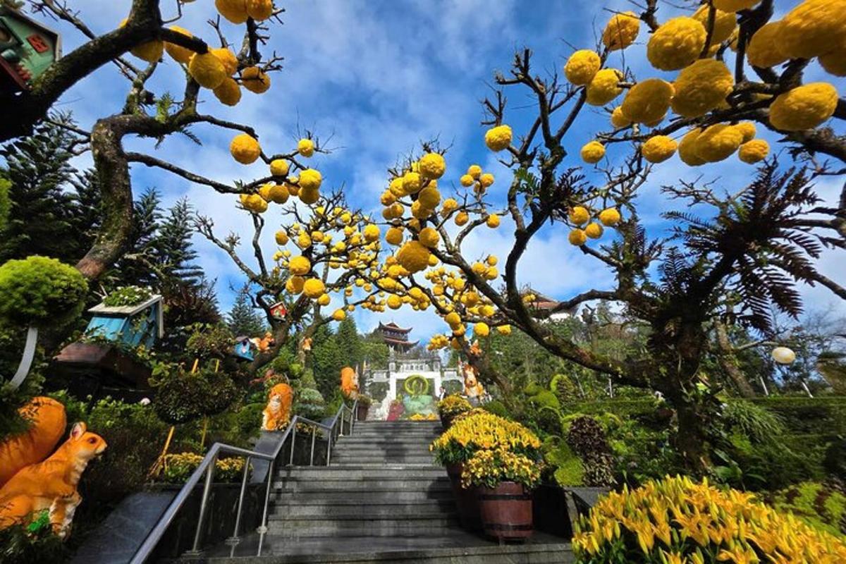 a bunch of stairs with yellow flowers and trees