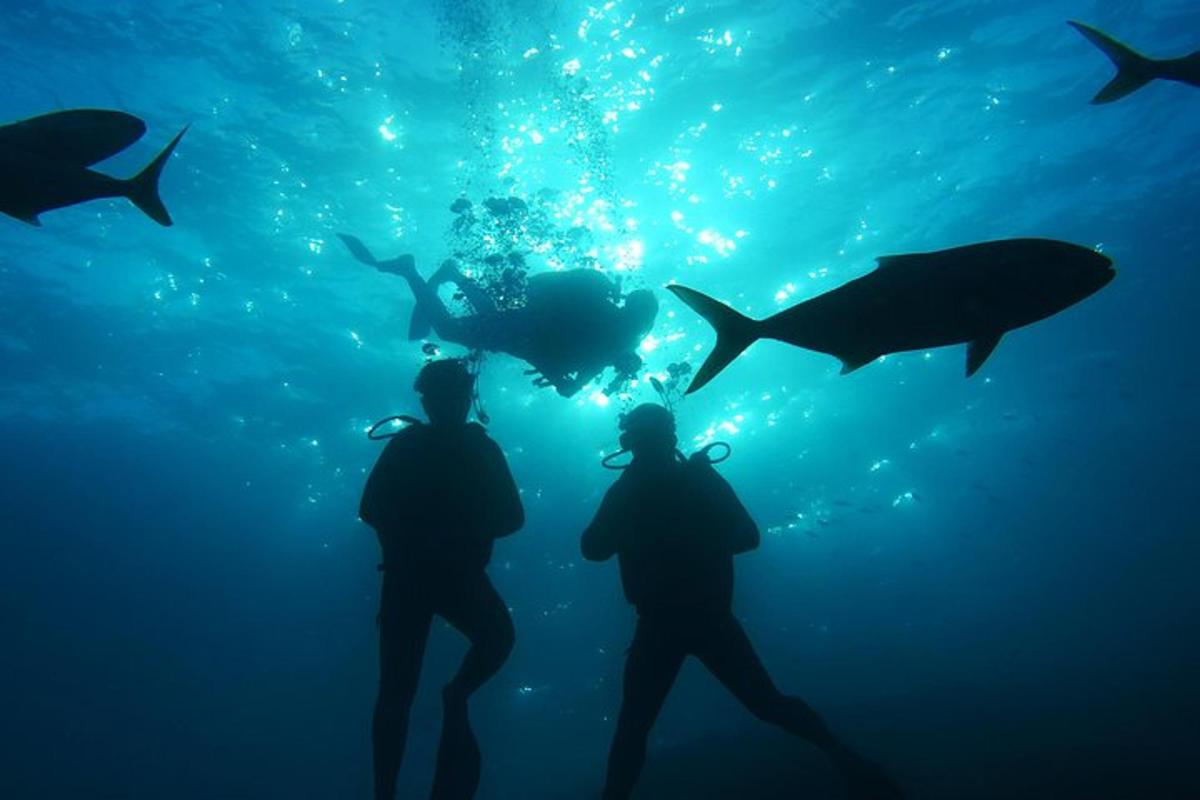 three people standing in front of a group of fish in the ocean