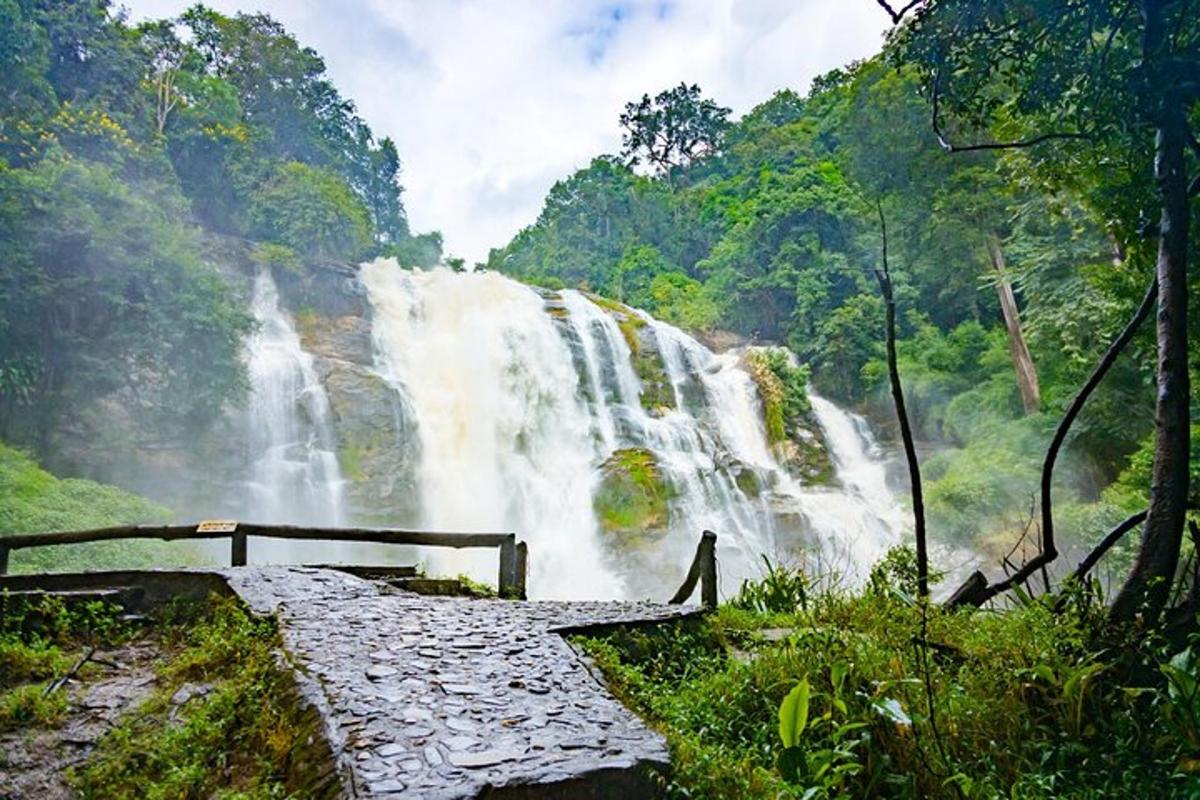 air terjun di tengah-tengah hutan